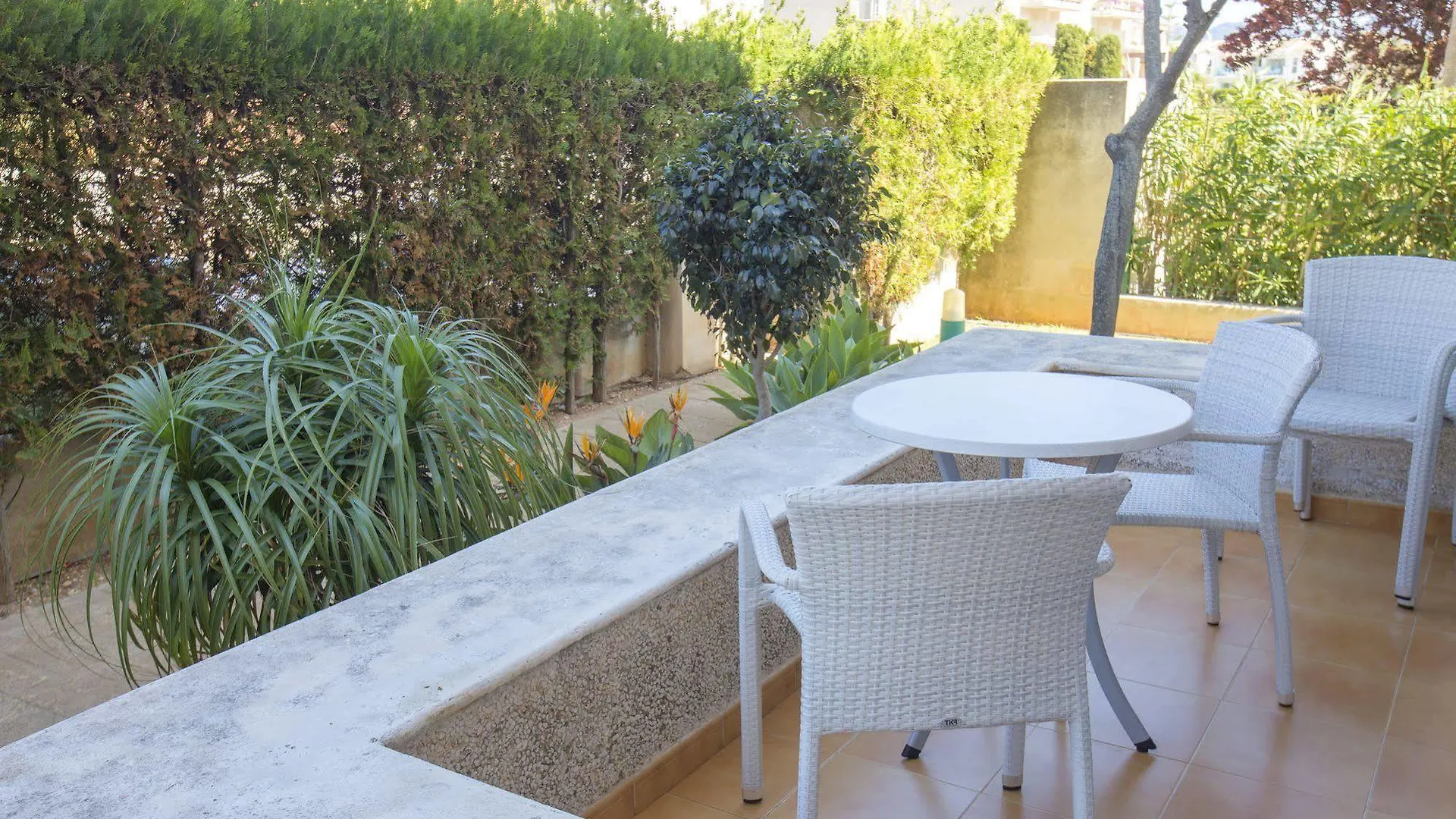 Apartamentos Massol Port de Pollença 0*,