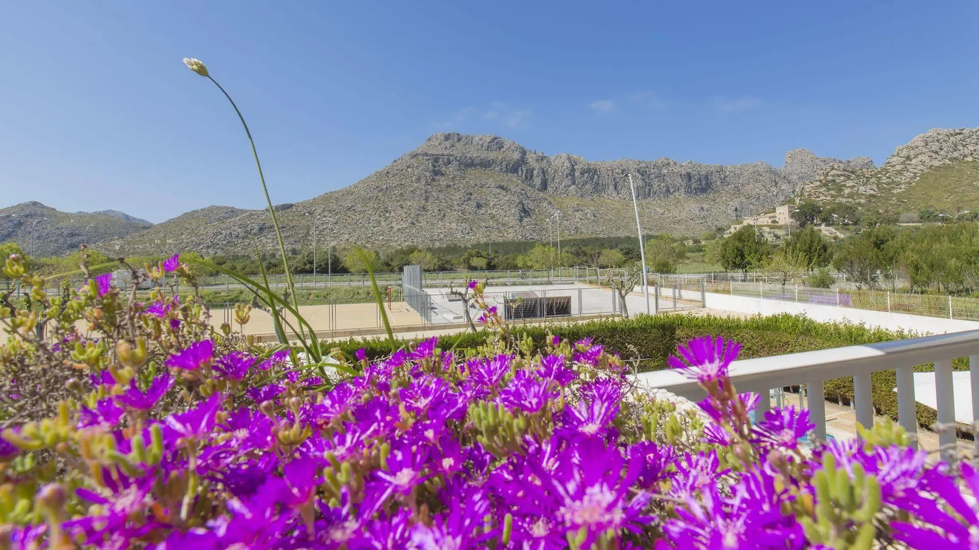 Apartamentos Massol Port de Pollença