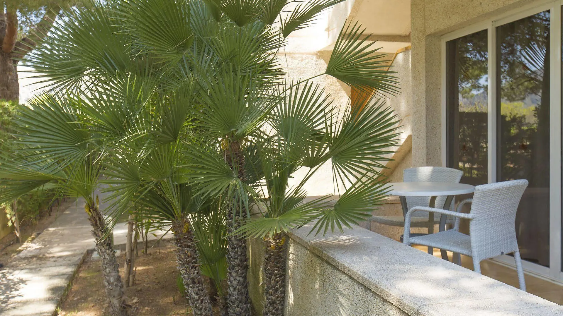 Apartamentos Massol Puerto Pollensa 0*,